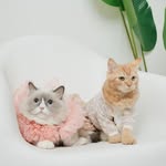 nalasicat