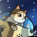 sashi.cat