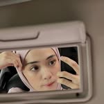 putrimelatii