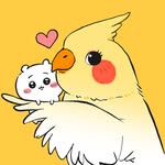 achycollects