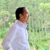 jokowi