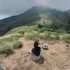 divnsya